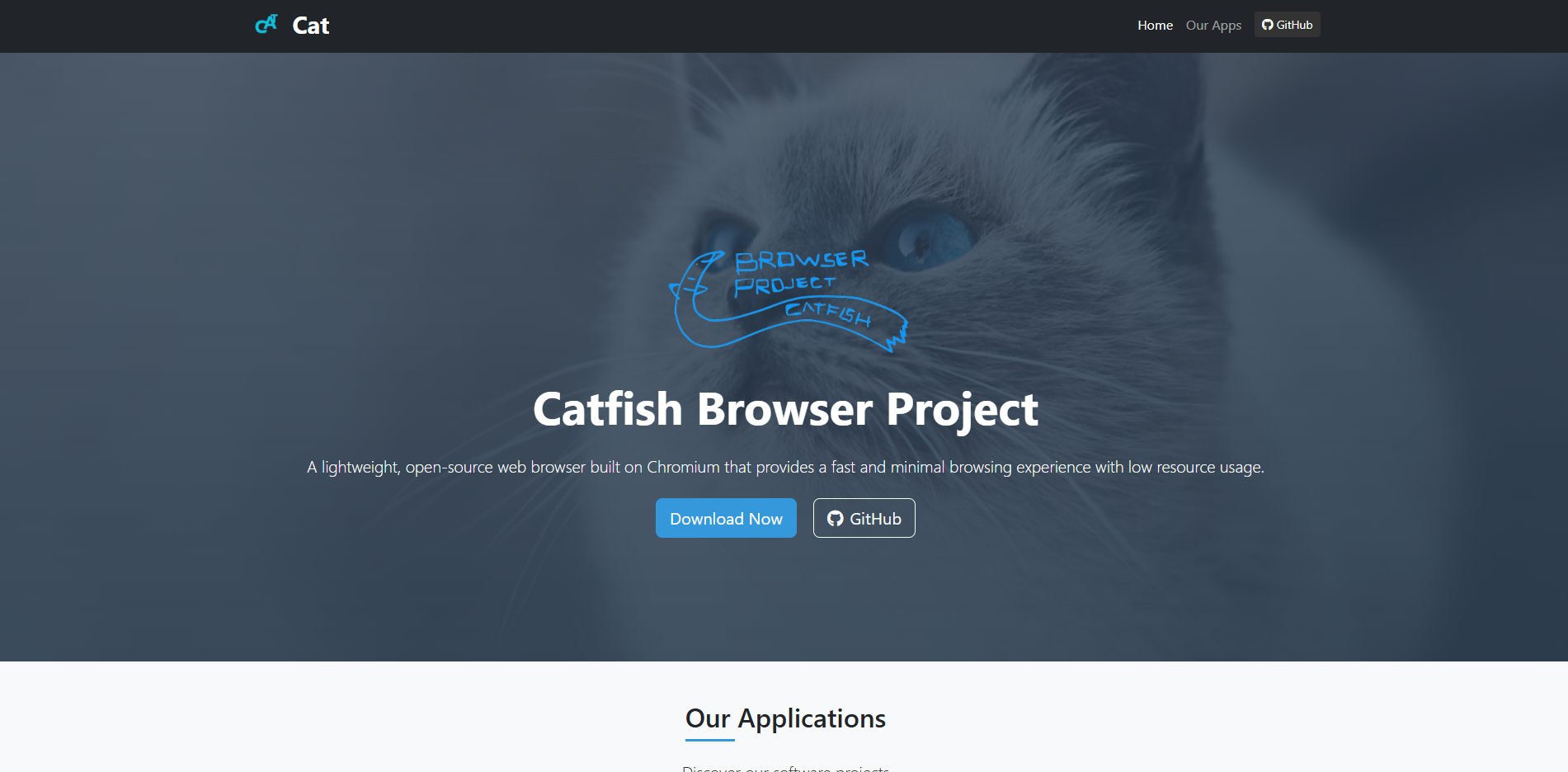 Website Launch